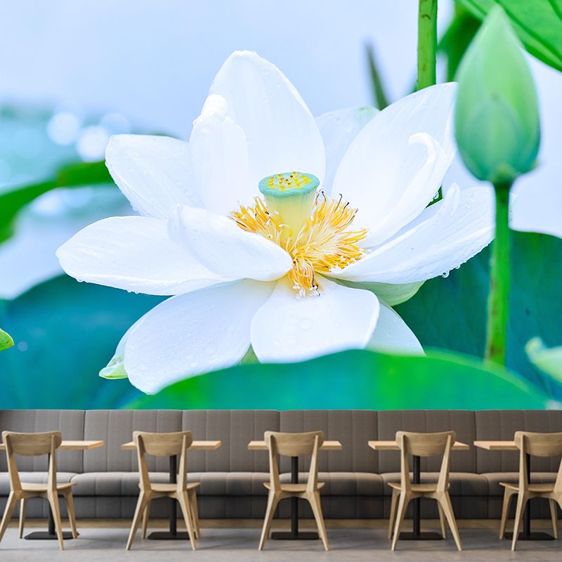 Customized Lotus Mural Wallpaper Waterproofing Wall Decor for Meeting Room