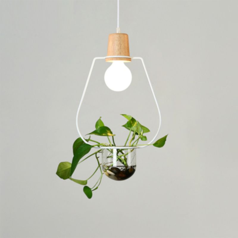 Planter Hanging Lamp Contemporary Clear Glass 1-Light Study Room Lighting Pendant
