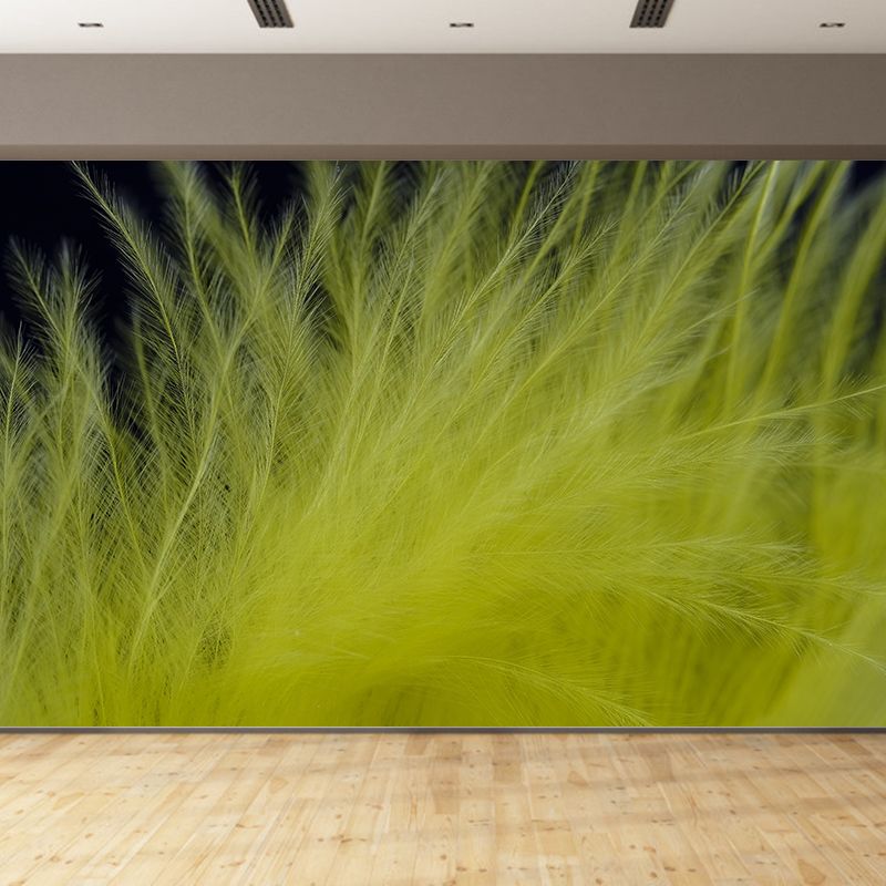 Stain Resistant Bird Feather Mural Wallpaper Decorative Wall Art above Bed