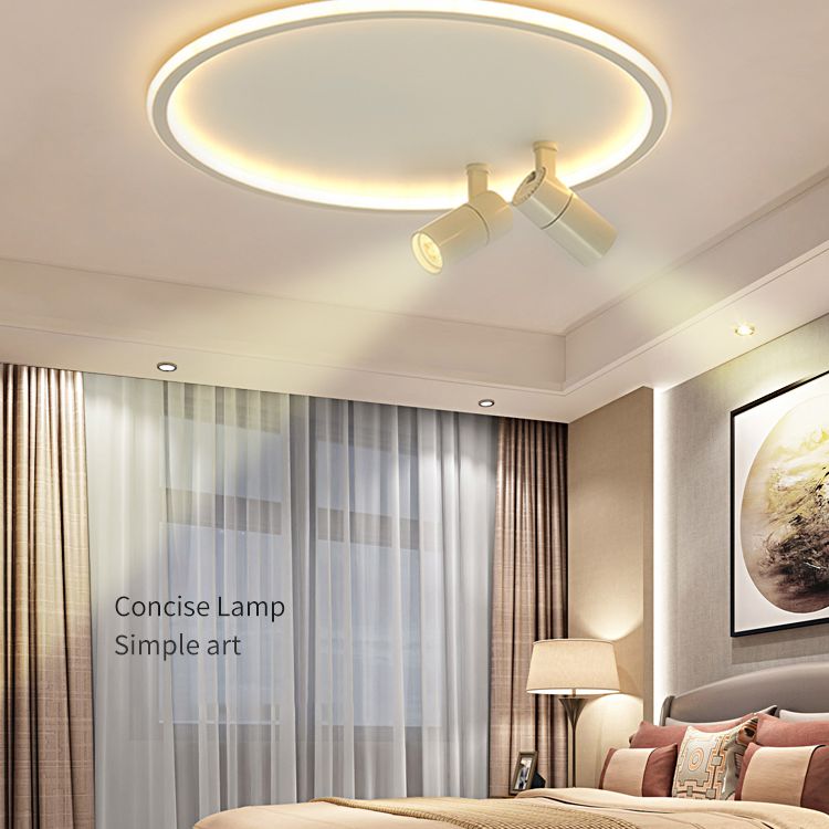 2-licht LED Semi Flush Mount In Modern Simplicity Circular Acryl Plafond Light in White