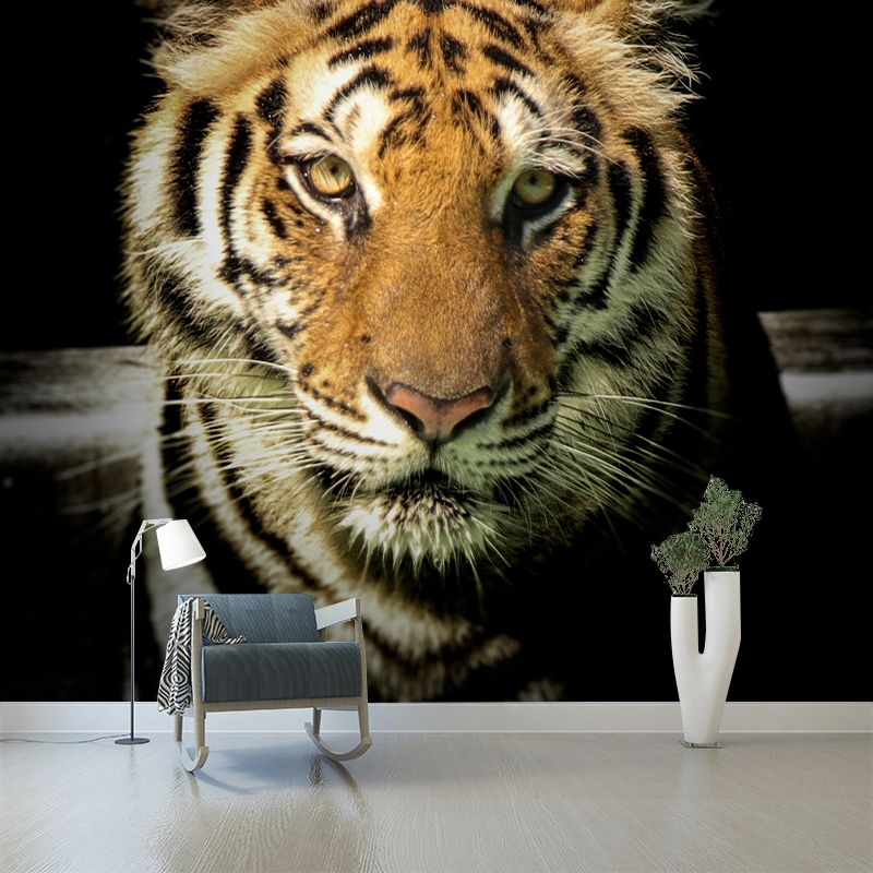Lion Contemporary Wild Animal Wall Mural Mildew Resistant Wallpaper for Bedroom