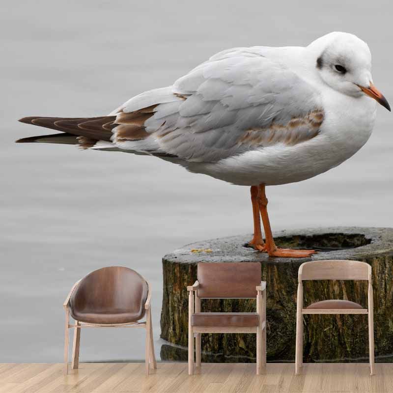 Horizontal Photography Seagull Wall Mural Decorative Mildew Resistant for Living Room