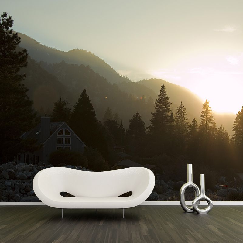 Natural Landscape Wall Mural Contemporary Decorative Living Room Wall Art for Decoration