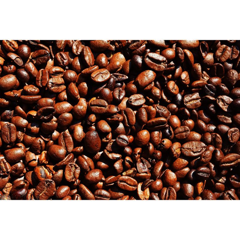 Simplicity Coffee Beans Mural Decal Modern Decorative, Moisture Resistant