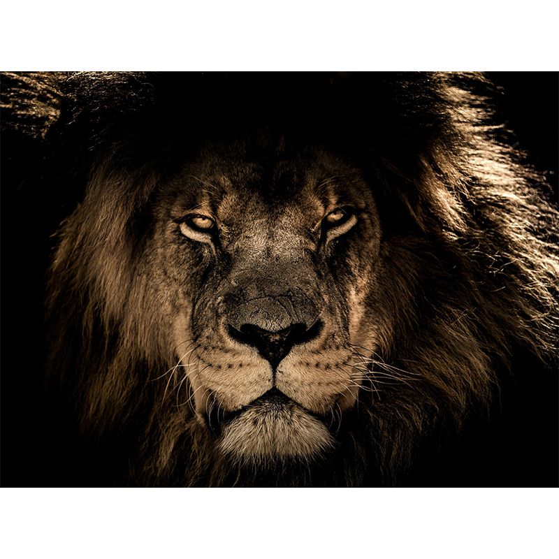 Animal Photography Pattern Mildew Wall Mural Horizontalt for Living Room