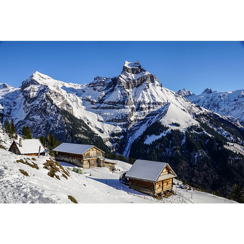 Water Resistant Mountain Mural Wallpaper Modern Wall Decor for Living Room