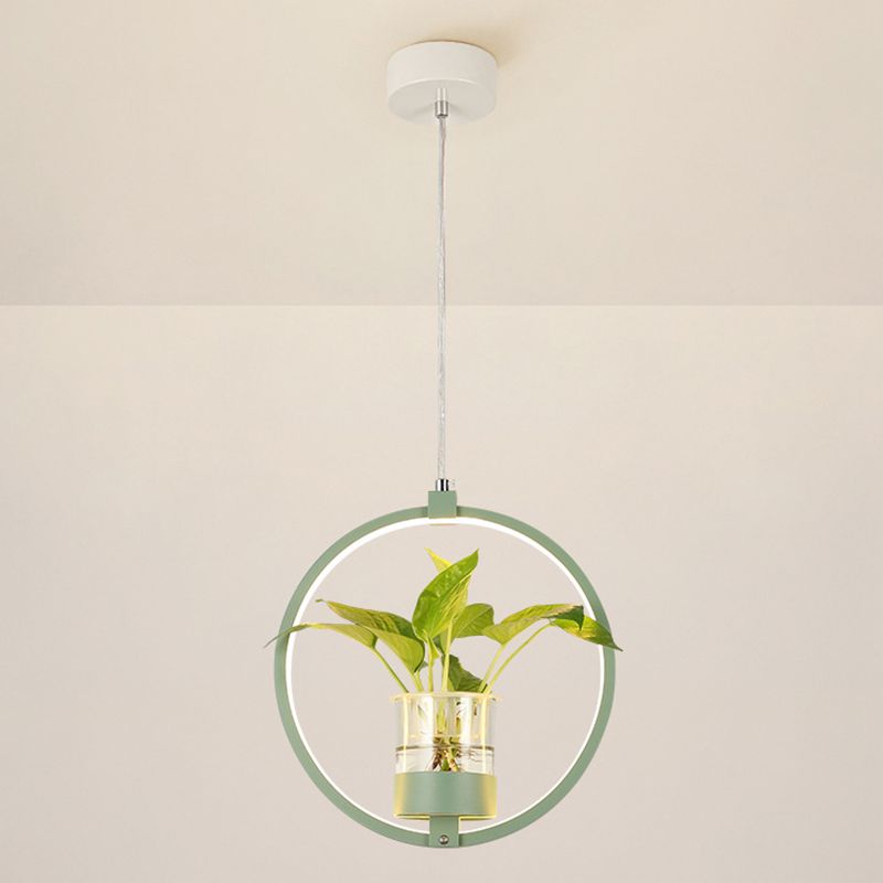 Modern Metal Hanging Lamp 1 Light Pendant Light for Dining Table  (without plants)