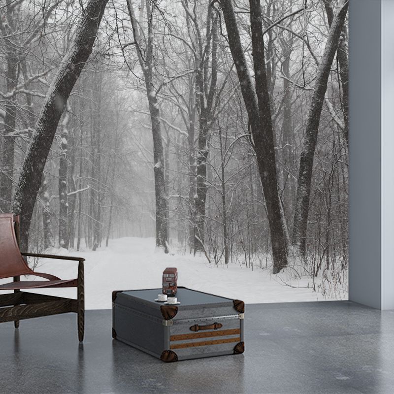 Modern Forest Wall Mural Decor Horizontal Photography Eco-friendly for Decoration