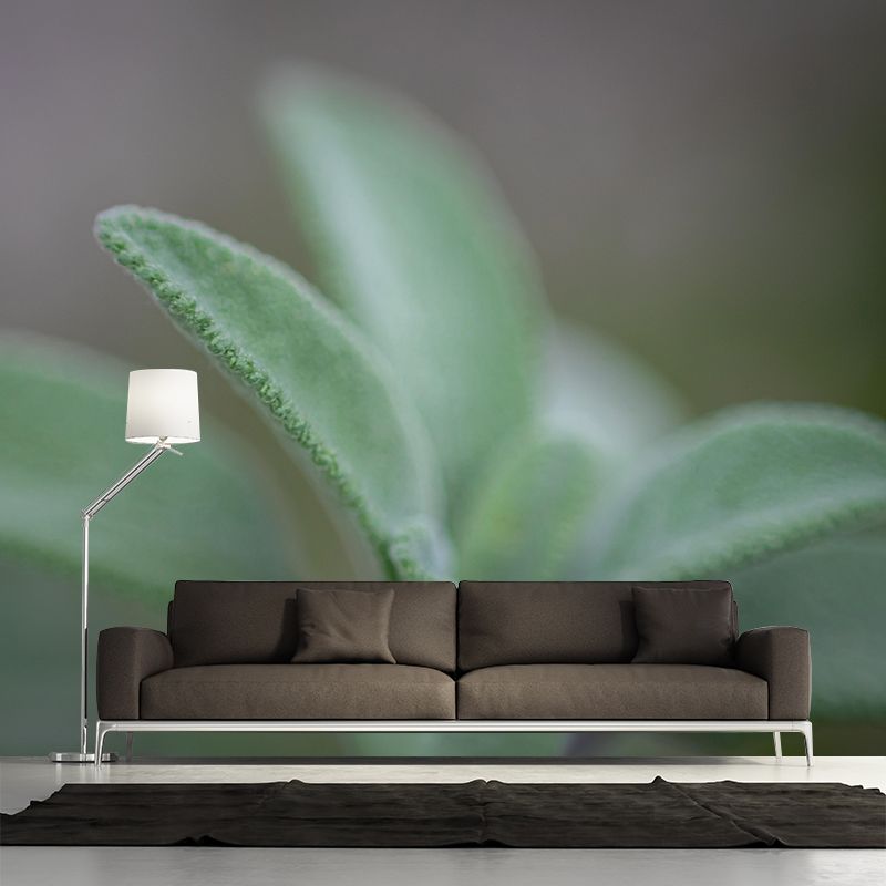 Herb Painting Mural Decal Modern Mildew Resistant Wall Covering for Decoration