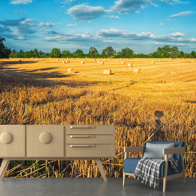 Contemporary Moisture Resistant Bales Mural Wall Covering for Decoration