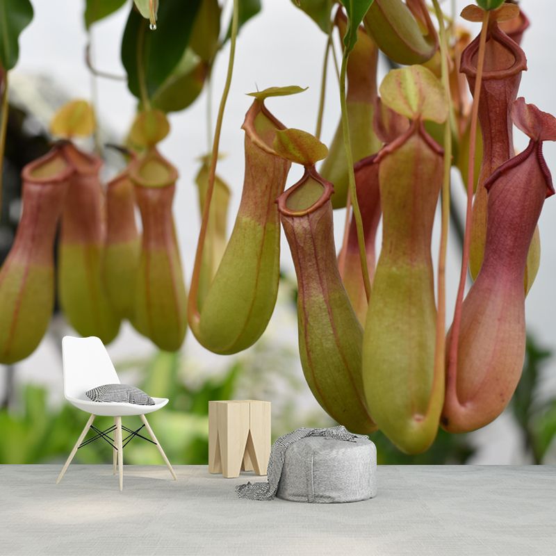 Contemporary Nepenthes Mural Environment Friendly Wallpaper for Living Room