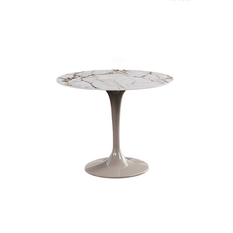 Sintered Stone Modern DiningRoomTableSet with Round Table and Pedestal Base Dinette Set