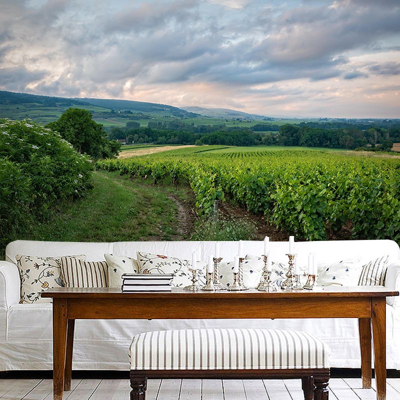 Customized Modern Grapevine Mural Wallpaper Green Plants Mildew Resistant