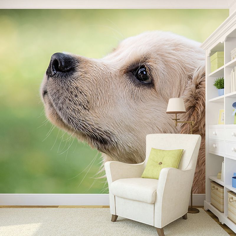 Washable Stain Resistant Wall Mural Wallpaper Pets Sitting Room Wall Mural