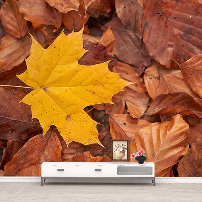 Washable Photography Mural Wallpaper Plants Landscape Indoor Wall Mural