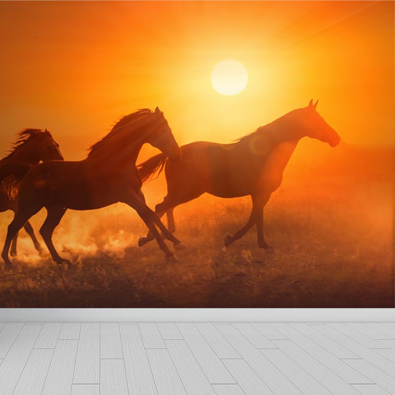 Running Horse and Sunset Mural Decal for Boys Bedroom Animals Wall Decor, Custom
