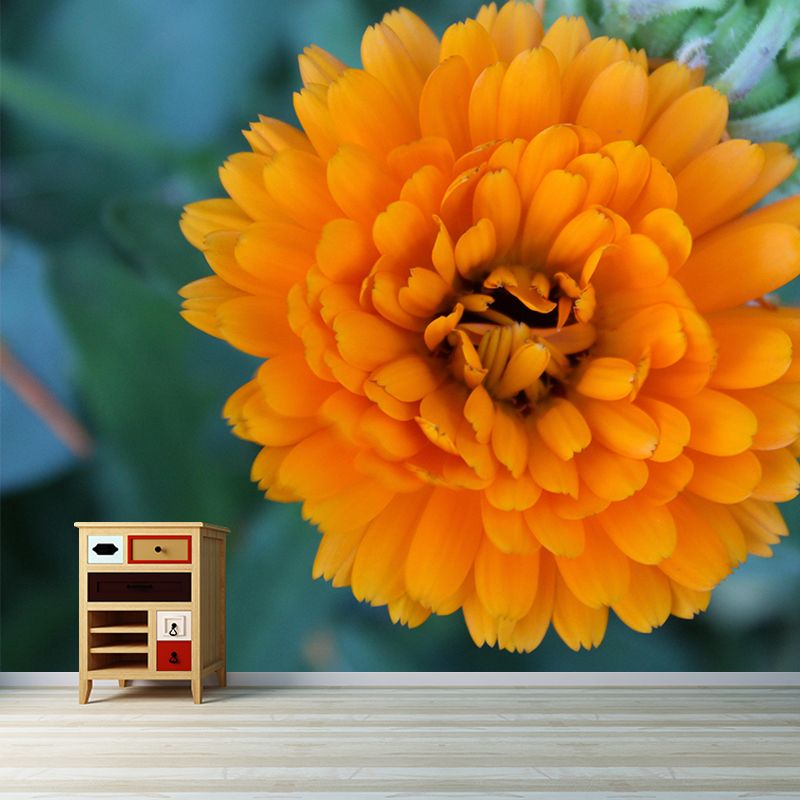 Customized Contemporary Marigold Mural Mildew Resistant for Sitting Room Bedroom