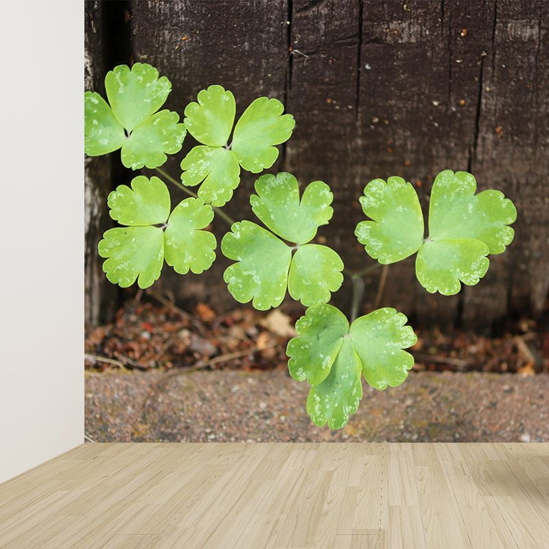 Contemporary Green Plant Wall Mural with Clover Pattern for Bar Decoration