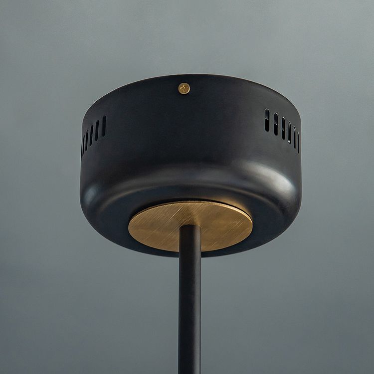 Black Acrylic Pendant Light Sputnik Modern LED Hanging Light for Living Room