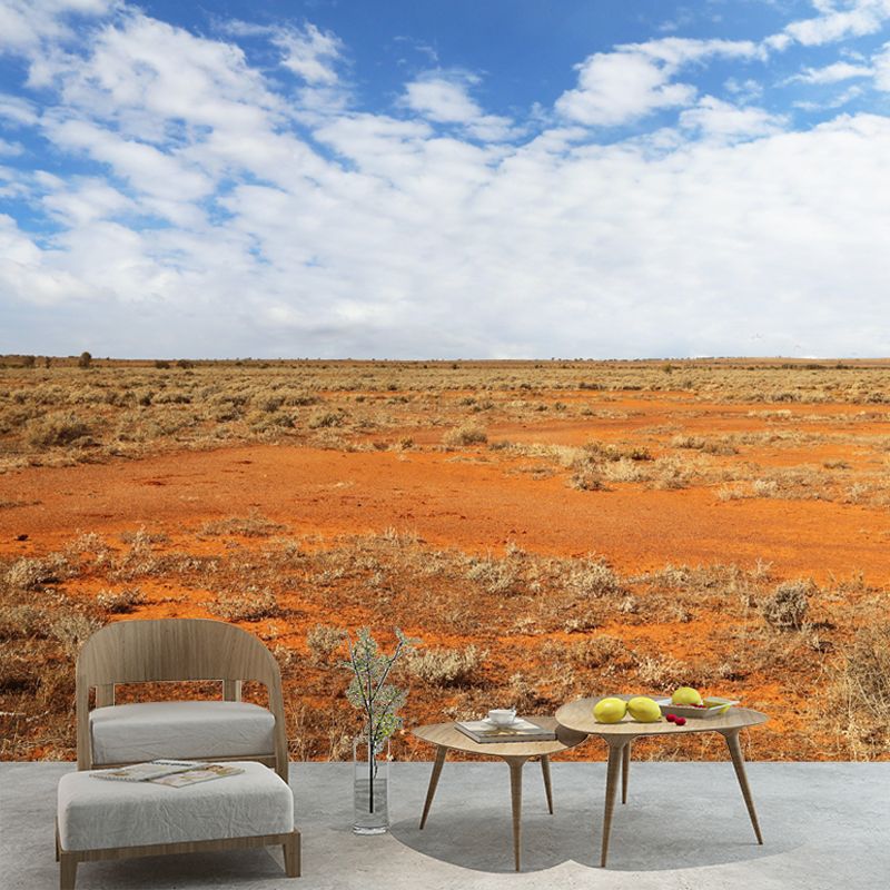 Customized Photography Desert Mural Environment Friendly for Living Room