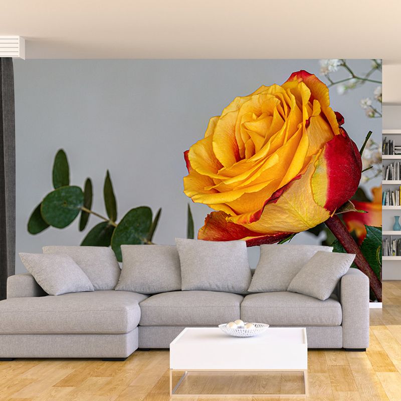 Rose Mural Wallpaper Flower Wall Decor for Girls Bedroom, Made to Measure