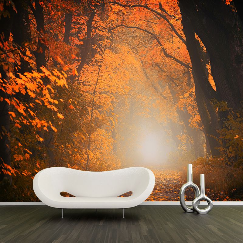 Contemporary Forest Mural Wallpaper Photography Horizontal Mildew Resistant for Bedroom