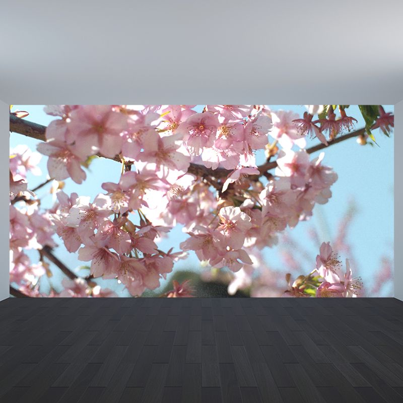 Photograph Style Cherry Blossom Mural Giant Wall Covering for Dining Room, Custom
