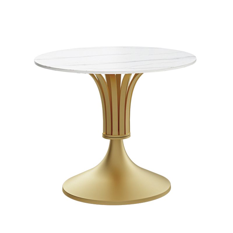 Round Luxury Style Dining Table Fixed Table with Sintered Stone