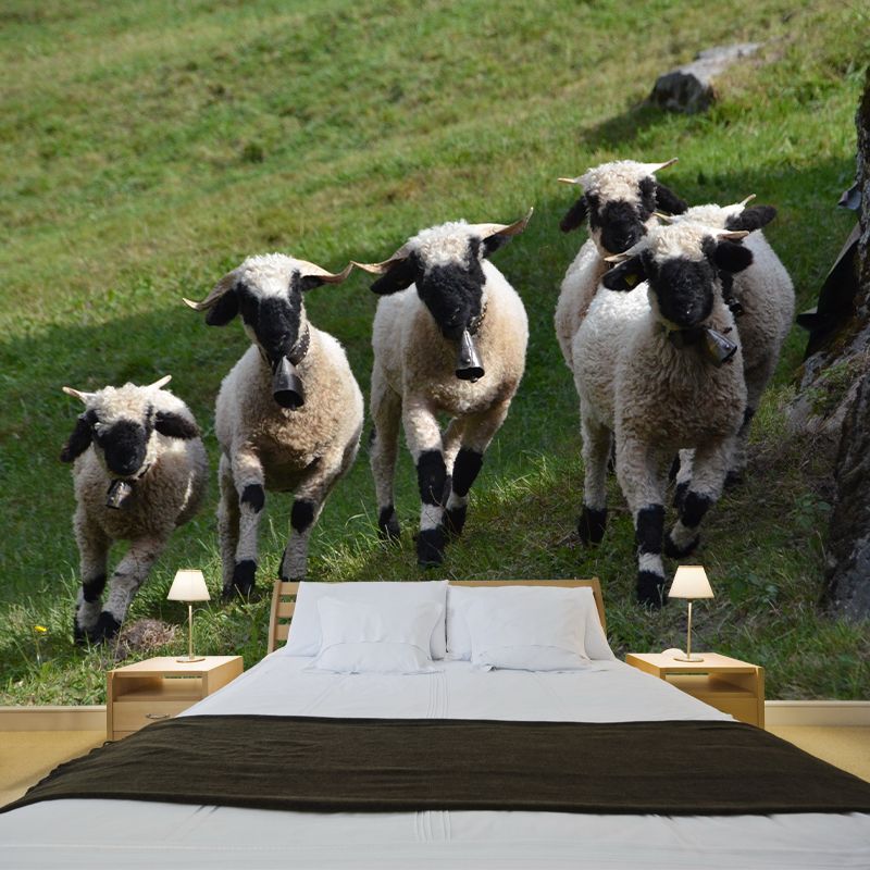 Lovely Animal Sheep Mural Decal Customized Contemporary Style Wall Covering