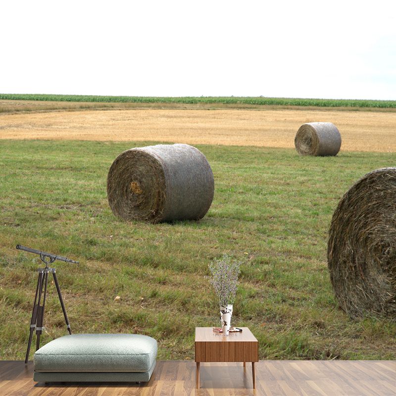 Aangepaste strobaal muurschildering lichte kleur muur decor schimmelbestendig voor woonkamer