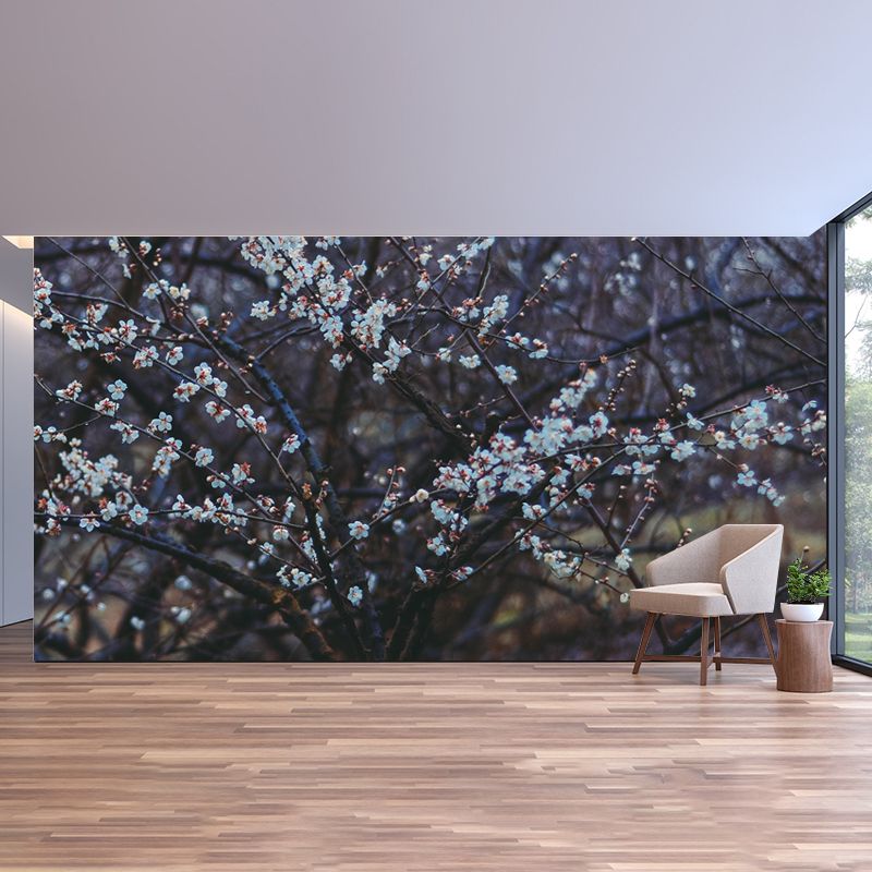 Customized Plum Bossom Mural Wallpaper Contemporary for Guest Room Decor