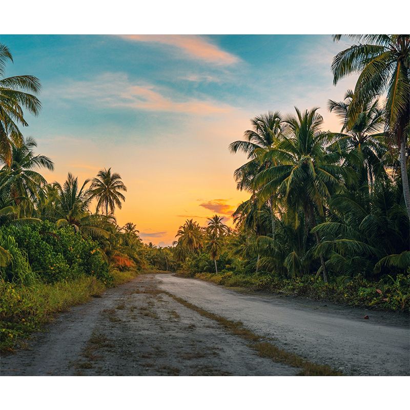 Holiday Eco-friendly Tropical Palm Mural Wallpaper Decorative Photography Wall Art