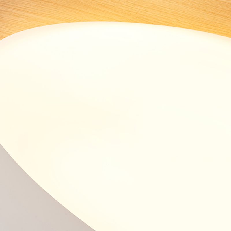 Contemporary Flush Mount Lamp Acrylic Shade Led Flush Mount for Bedroom