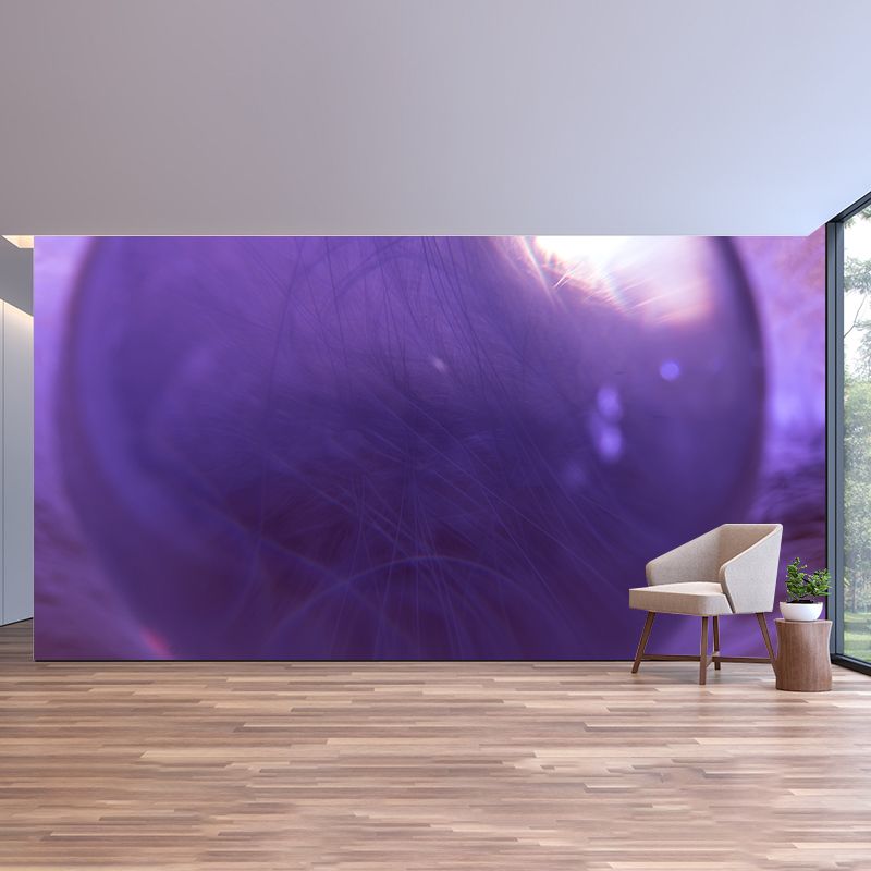 Feather Photography Mural Wallpaper Environment Friendly Living Room Wall Mural