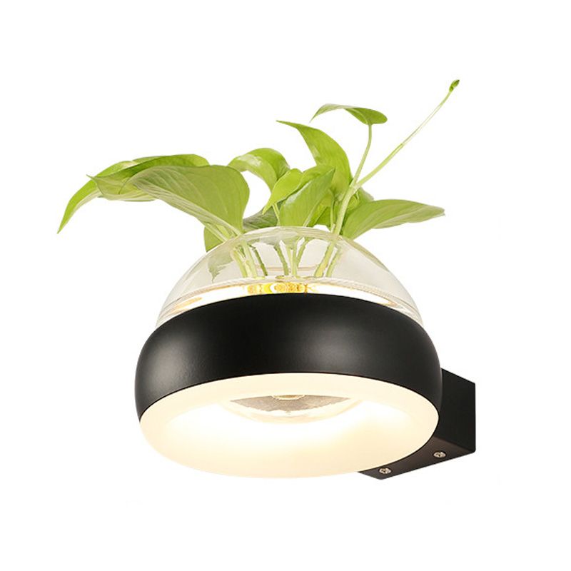 Iluminación de pared de cúpula de vidrio transparente 1 lámpara de apliques de pared LED de dormitorio de dormitorio en negro/gris/blanco con recipiente de plantas