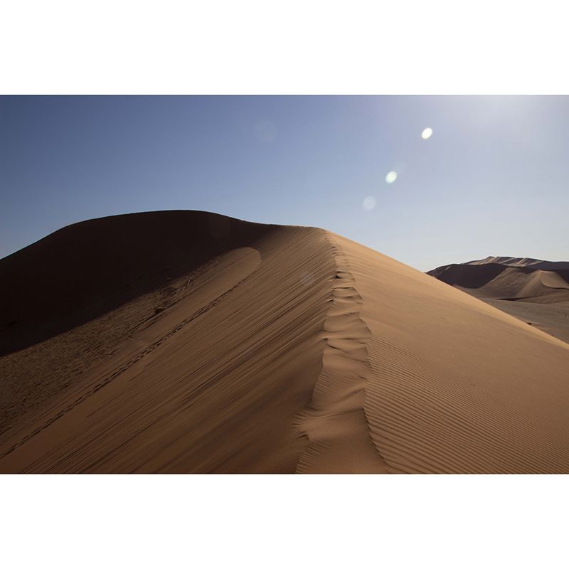 Desolate Desert Landscape Wall Mural for Dining Room Wall Decor, Made to Measure