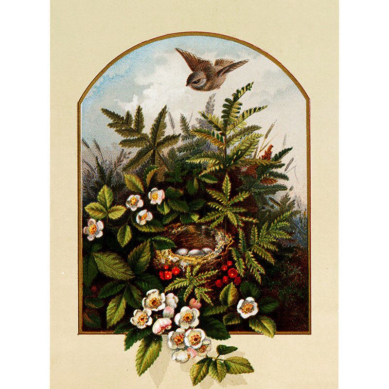 Extra Large Floral Design Mural Green Non-Woven Wall Art for Home Decor, Personalised