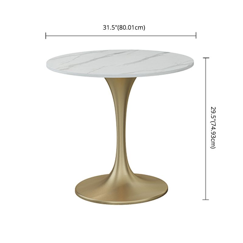Scandinavian Style Sintered Stone Top Dining Set with Round Table Dining Furniture