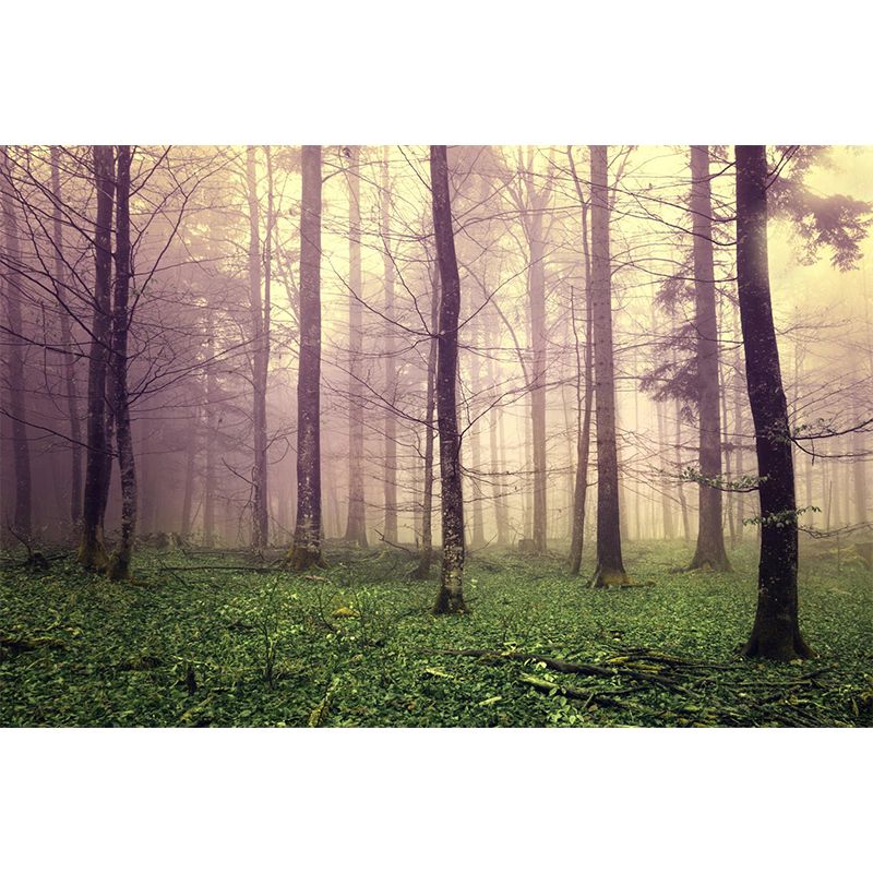 Big Foggy Forest Mural Decal Modern Mysterious Scenery Wall Covering in Pastel Color
