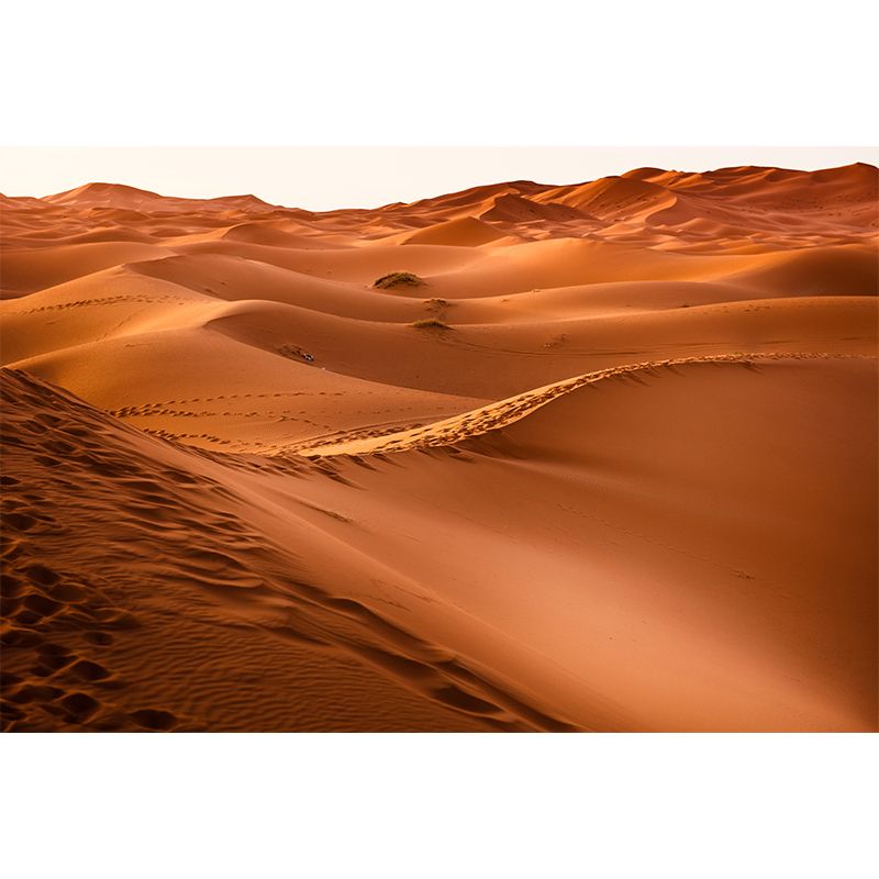 Landscapes Photography Wall Mural Stain Resistant Desert Contemporary House Murals