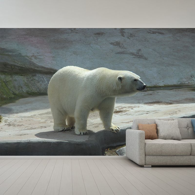 Photography Mural Wall Decor Polar Bear Mildew Resistant Living Room Wall Mural Wall Art