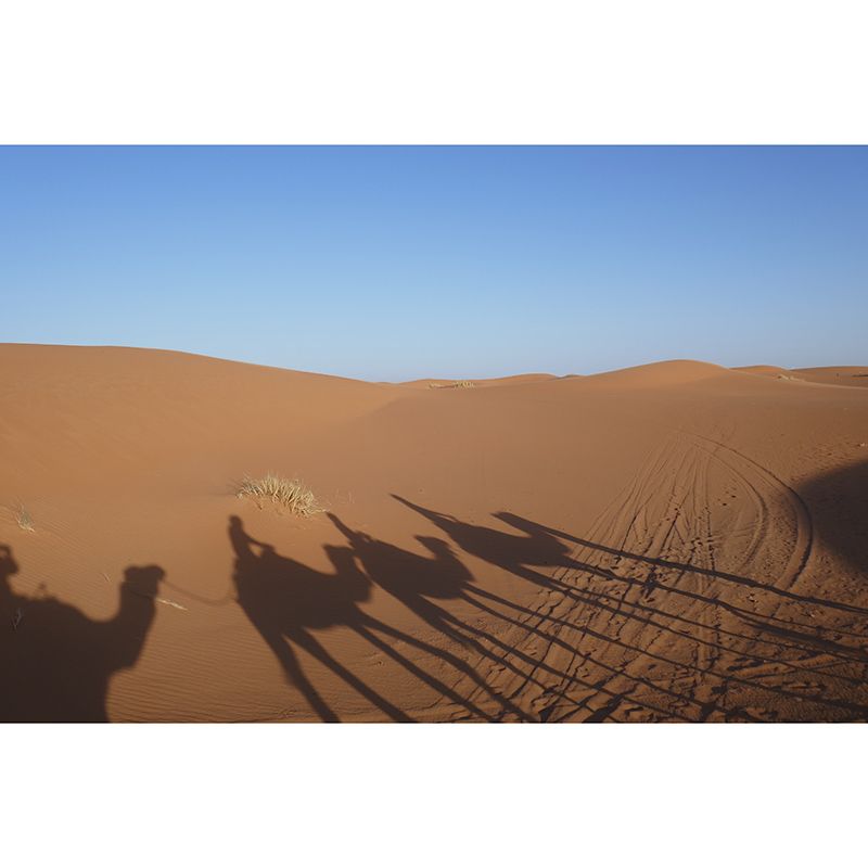 Sand Desert Mural Wallpaper for Sleeping Room Wall Decor, Made to Measure