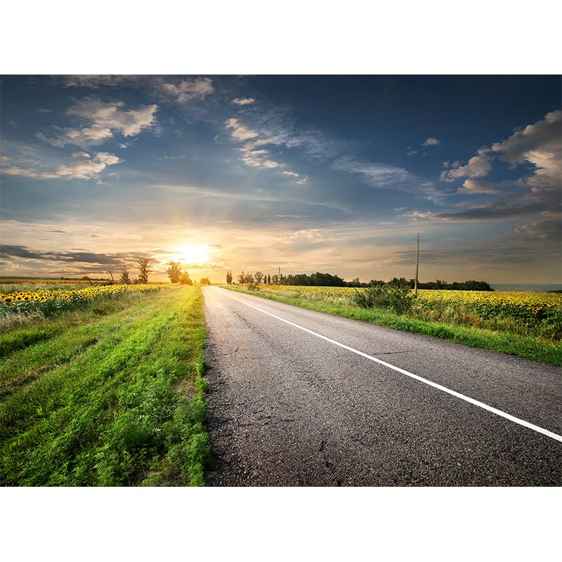 Soft Color Highway Mural Decal Moisture Resistant Contemporary Bathroom Wall Covering