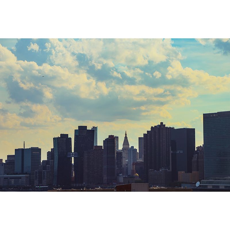 City Scenery Mural Stain Resistant Contemporary Wall Decor Living Room