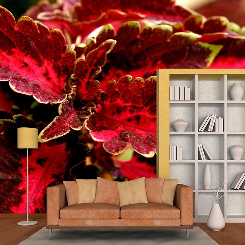 Coleus Amboinicus Mural Wall Paper Home Decorations for Kitchen Sitting Room