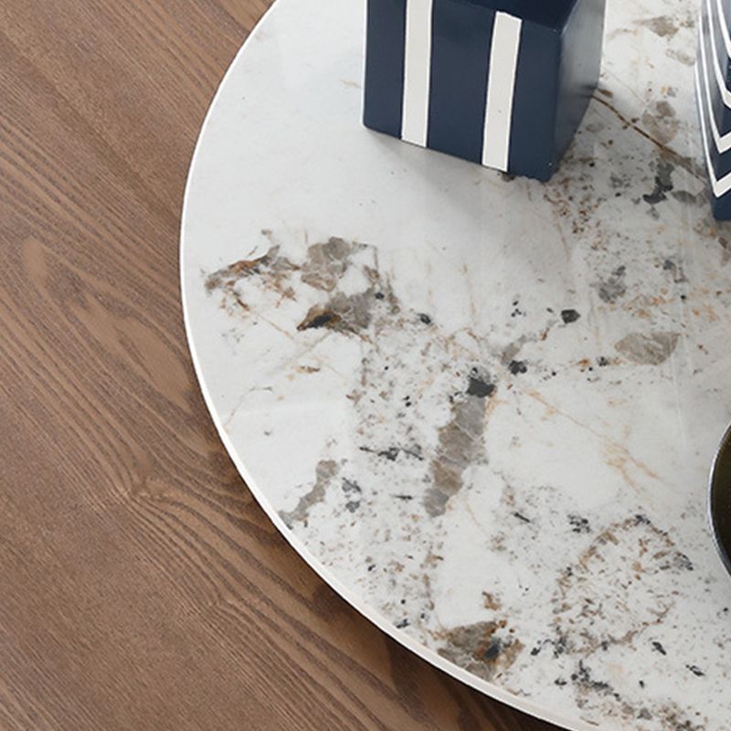 Wood Contemporary Round Dining Table Matte Finish Pedestal Table for Home