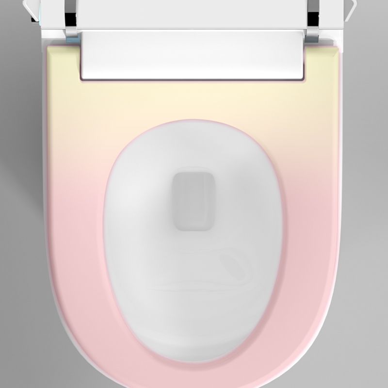 Contemporary One Piece Flush Toilet Heated Seat Included Toilet Bowl for Bathroom