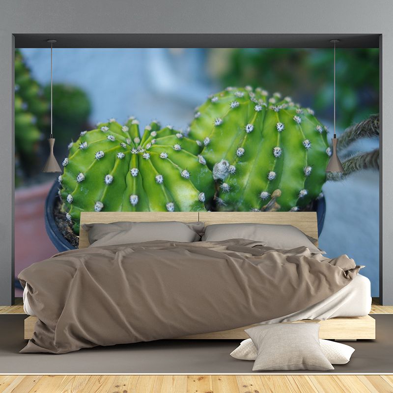 Customized Modern Plants Mural Wallpaper with Cactus Pattern Mildew Resistant