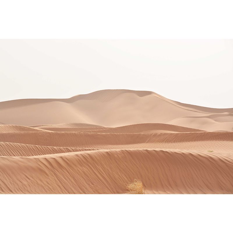 Desert Landscape Photo Wall Mural Stain Resistant Wall Art for Dining Room