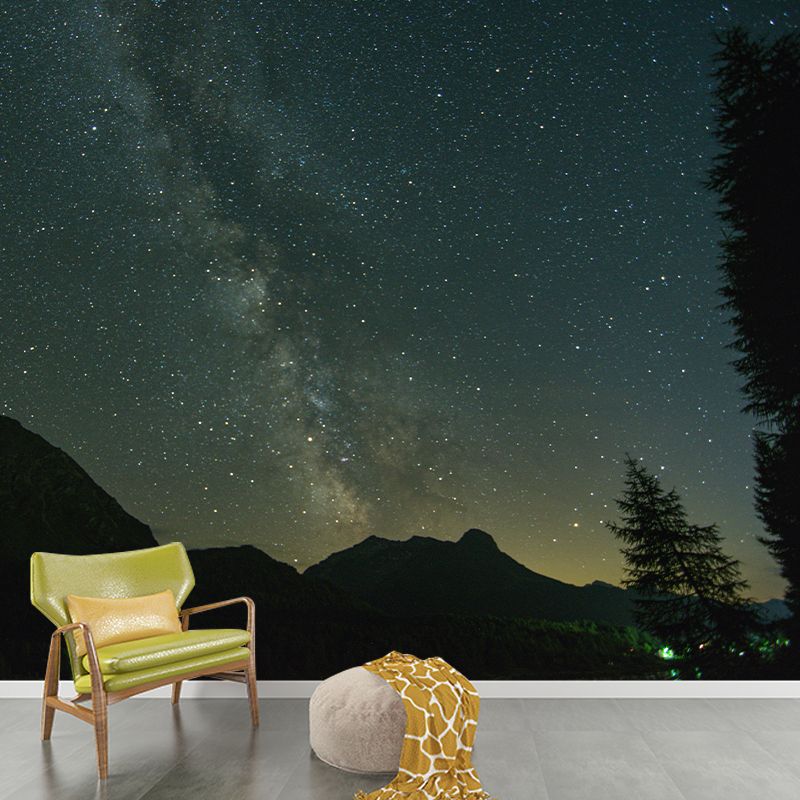 Cosmic Night Mural Water Resistant Decorative Wall Decor for Sleeping Room